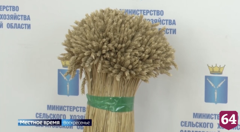 В Саратовской области засеяли 4 миллиона гектаров